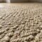 Sisal Carpet